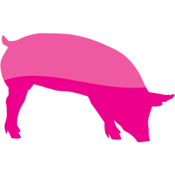 pig 7 icon