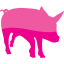 pig 9