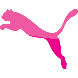 puma 2 icon