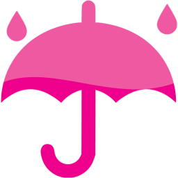 rainy weather icon