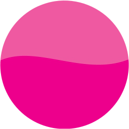 record icon