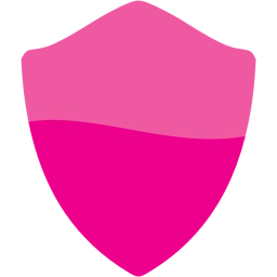 shield icon