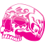 skull 24