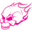 skull 43