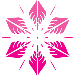 snowflake 5 icon