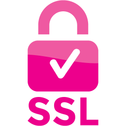 ssl badge 2 icon