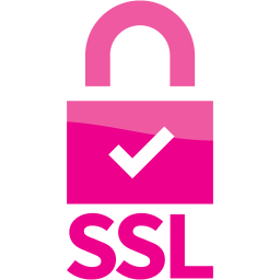 ssl badge 5 icon