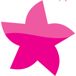 star 21 icon