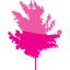 tree 71