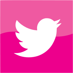 twitter 2 icon