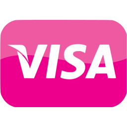 visa icon