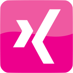 xing 3 icon