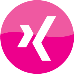 xing 4 icon