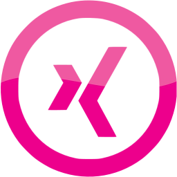 xing 5 icon