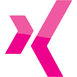 xing icon