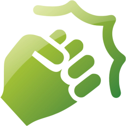 action icon