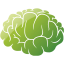 brain 2