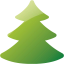 coniferous tree