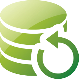 data backup icon