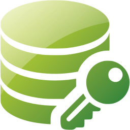 data encryption icon