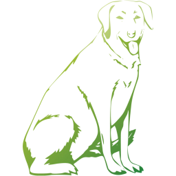 dog 13 icon
