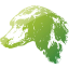 dog 27