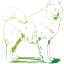 dog 4