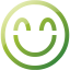 emoticon 17