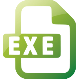 exe icon