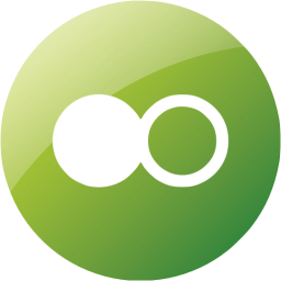 flickr 4 icon