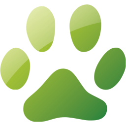 footprints cat icon