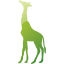 giraffe 2