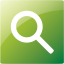 google web search