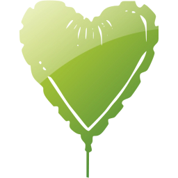 heart 25 icon