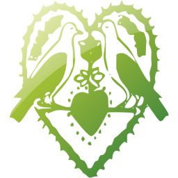 heart 65 icon