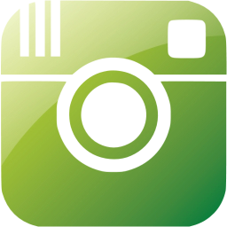 instagram icon
