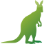 kangaroo