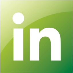 linkedin 2 icon