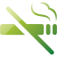 no smoking