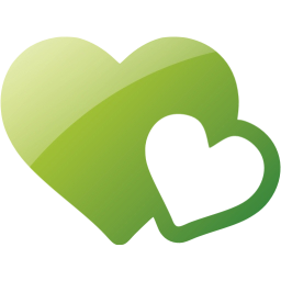 novel icon