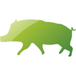 pig 10 icon