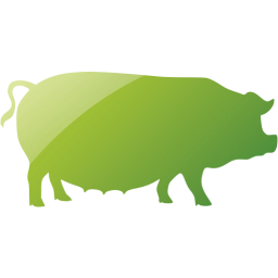 pig 3 icon