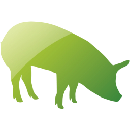 pig 5 icon