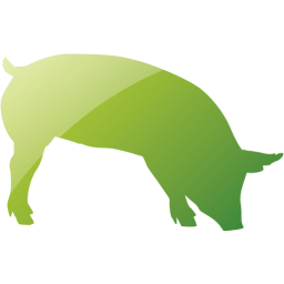 pig 7 icon