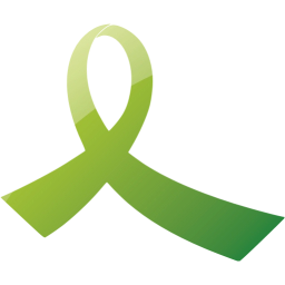 ribbon 13 icon