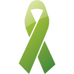 ribbon 17 icon