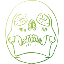 skull 29 icon