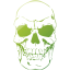 skull 41