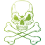 skull 72