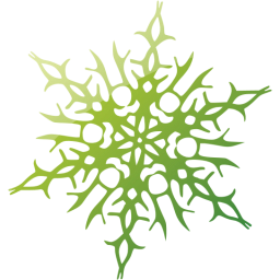 snowflake 14 icon